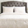 Bellflower Grove 3-Piece Full/Queen Comforter Set - Cream