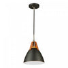 Tote 1-Light Black Pendant II