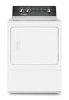 Huebsch 7 Cu. Ft. Gas Dryer with Steam - DR5102WG