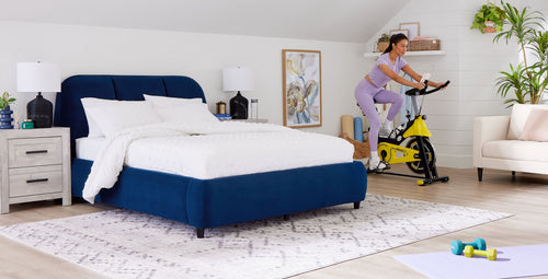 Attic wellness