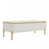 Lustra 39.4 Inch Modern High-Gloss Coffee Table with Dual Drawers and Gold Accents, White | Lustra Table Basse Moderne Haute Brillance 39.4 po avec Double Tiroirs et Accents Dores, Blanc