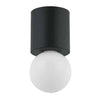 Dainolite Theron 1 Light Flush Mount Globe Matte Black Finish Lamp|Plafonnier affleuré Theron de Dainolite en forme de globe, avec fini noir mat et 1 ampoule