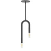 Dainolite Wand 2 Light Pendant Matte Black Lamp|Luminaire suspendu Wand de Dainolite avec fini noir mat et 2 ampoules