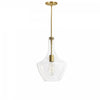 Dainolite Petalite 1 Light Pendant Small Aged Brass Clear Glass Lamp|Petit luminaire suspendu Petalite de Dainolite en verre transparent, avec fini laiton vieilli et 1 ampoule