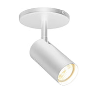 Dainolite Stanly 1 Light Spotlight Matte White Lamp