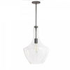 Dainolite Petalite 1 Light Pendant Large Matte Black Clear Glass Lamp|Grand luminaire suspendu Petalite de Dainolite en verre transparent, avec fini noir mat et 1 ampoule