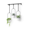 Umbra Triflora Hanging Planter - White|Jardinière suspendue Triflora de Umbra - blanche