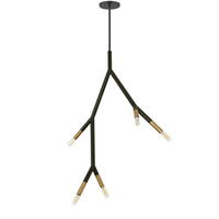 Dainolite Morgan 5 Light Pendant Matte Black/Aged Brass Finish Lamp