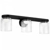 Dainolite Nadine LED Vanity 30w Matte Black Clear Glass Lamp