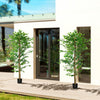 HOMCOM 2 Piece 6ft Artificial Trees Ficus for Indoor Home Decor