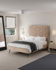 Crosby Modern Upholstered Velvet Full Bed in Nude | Lit double moderne Crosby en velours capitonne couleur nude