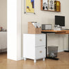 HOMCOM Lockable 2 Drawer File Cabinet with Hanging Bars for A4 and Letter