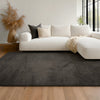 Argo Plush & Shags Charcoal Washable Rug 5'0" x 7'6" Indoor Area Rug | Tapis Lavable/Moelleux Argo 5'0" x 7'6" en Charbon