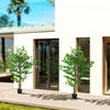 HOMCOM 2 Piece 5ft Artificial Trees Ficus for Indoor Home Decor