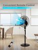 Black+Decker 16" Stand Fan | Ventilateur sur pied Black+Decker de 16 po