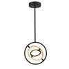 Trilogy Collection 13" Integrated LED Pendant - Black & Gold|Luminaire suspendu de la collection Trilogy avec lumière à DEL intégrée de 13 po - noir et doré