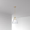 Dainolite Polly 1 Light Pendant Medium Aged Brass Finish Clear Glass Lamp|Luminaire suspendu moyen Polly de Dainolite en verre transparent, avec fini laiton vieilli et 1 ampoule