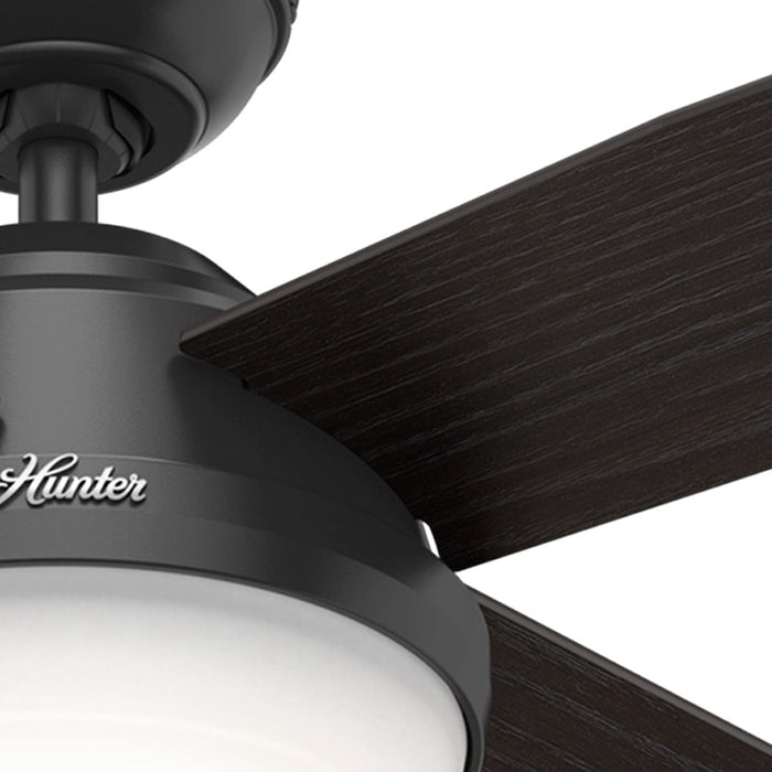 Dempsey Ceiling Fan with Light Fixture - Black