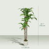HOMCOM 5FT Artificial Dracaena Tree, Lifelike Fake Plant for Home Decor