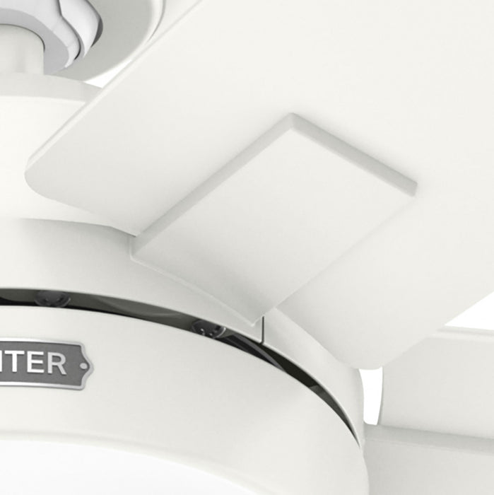Anisten Ceiling Fan with Light Fixture - White