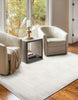 Ramona Grey Rug 5'0" x 8'0" | Tapis Contemporain/Moderne Ramona 5'0" x 8'0" en Gris