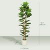 HOMCOM Faux Fiddle Leaf Fig Tree, 6FT Artificial Tree for Indoor Decor