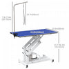 Pawhut Dog Grooming Table, Deluxe Professional Pet Grooming Table For Larger Dogs Z-lift Hydraulic W|Pawhut Table De Toilettage Deluxe Professionelle Hydraulique Pour Chien Avec Bras Coulant, Bleu