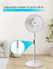 Black+Decker 16" Stand Fan | Ventilateur sur pied Black+Decker de 16 po