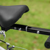 Aosom Multi-functional Bike Trailer With 16" Wheels, Grey