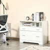 Vinsetto 2 Drawers File Cabinet With Hanging Rail|Vinsetto Classeur 2 Tiroirs Avec Rail De Suspension
