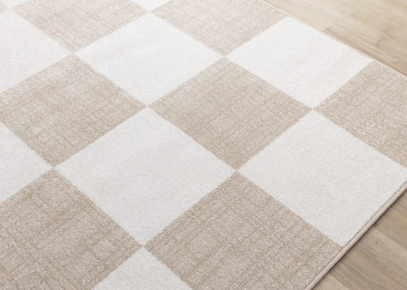 Covington Modern Checkered Indoor Area Rug - 2'0\" x 7'7\"