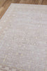 Valeria Traditional 9'3" x 12'3" Area Rug in Grey Indoor Area Rug | Tapis Traditionnel Valeria 9'3" x 12'3" en Gris
