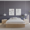 Malibu Bed Frame Queen Bed | Lit Plateforme Malibu
