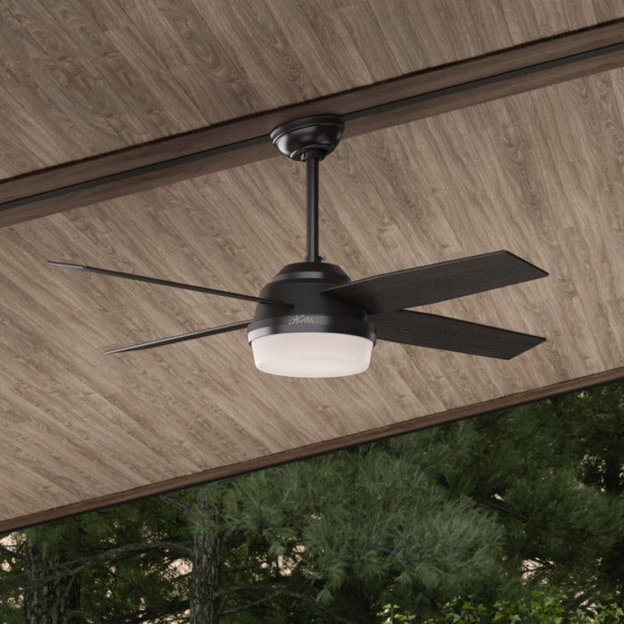 Dempsey Ceiling Fan with Light Fixture - Black