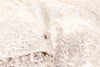 Paradox Ivory Rug 8'0" x 10'0" | Tapis Traditionnel Paradox 8'0" x 10'0" en Ivoire
