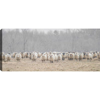 Flock of Sheep Canvas Wall Art - 21