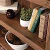 Alcott 35.28” 5-Shelf Bookcase with 3 Adjustable Shelves -Vintage Oak | Bibliothèque Alcott de 35,28 po à 5 tablettes dont 3 tablettes réglables - chêne antique