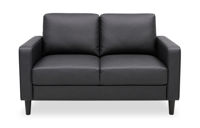 Sydney 54” Sofa Leather-Look Fabric Loveseat with Removable Back Cushions - Black