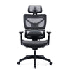 Tygerclaw High Back Executive Ergonomic Mesh Office Chair - Black|Fauteuil président ergonomique en mailles TygerClaw à dossier haut - noir