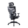 Tygerclaw High Back Executive Ergonomic Mesh Office Chair - Black|Fauteuil président ergonomique en mailles TygerClaw à dossier haut - noir
