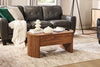 Briggs 39.76" Lift Top Coffee Table with Storage - Brown | Table à café Briggs de 39,76 po avec dessus relevable et rangement - brune | BRIGGCTB