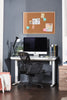 Dominic 23.5" Office Chair with Mesh Back - Black|Chaise de bureau Dominic de 23,5 po avec dossier à mailles - noire