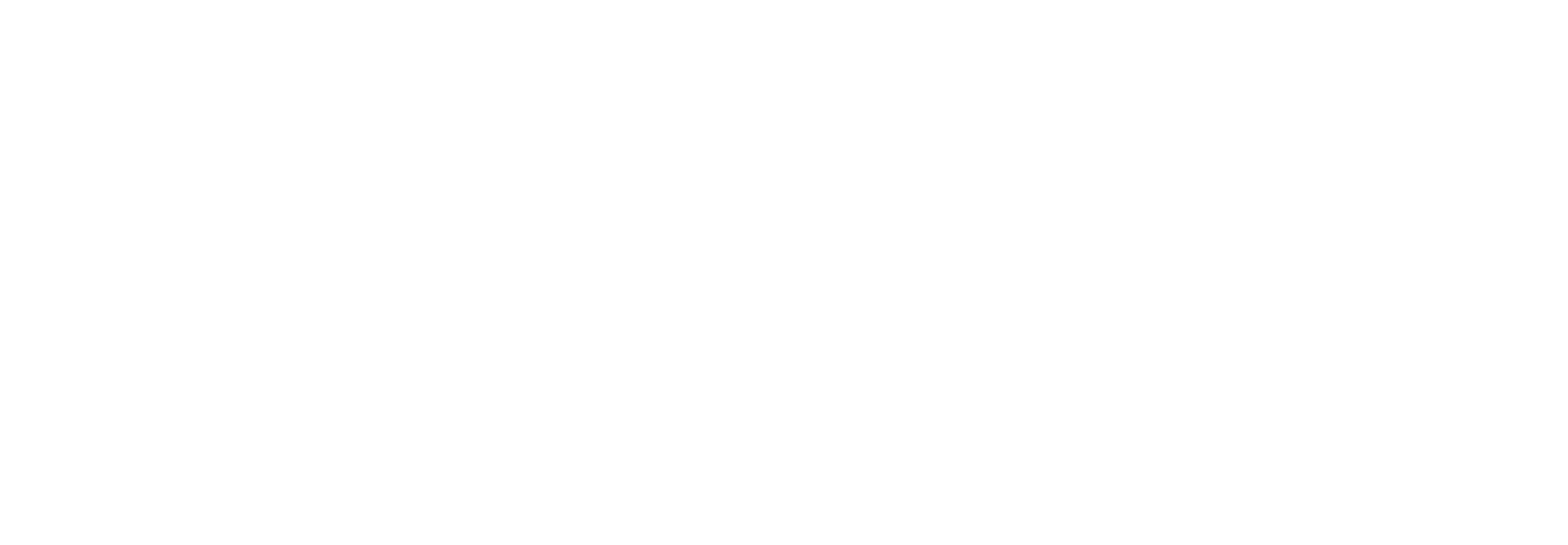 The Brick Franchise 