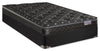 Springwall Advance Regatta Eurotop Medium Queen Mattress Set | Ensemble matelas moyen à Euro-plateau Advance Regatta de Springwall pour grand lit  | RGATTAQP