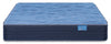 Springwall San Marino Tight Top Firm King Mattress | Matelas ferme à plateau régulier San Marino de Springwall pour très grand lit