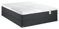 Springwall Spa 12 Plush Smooth Top Queen Mattress in a Box Set 