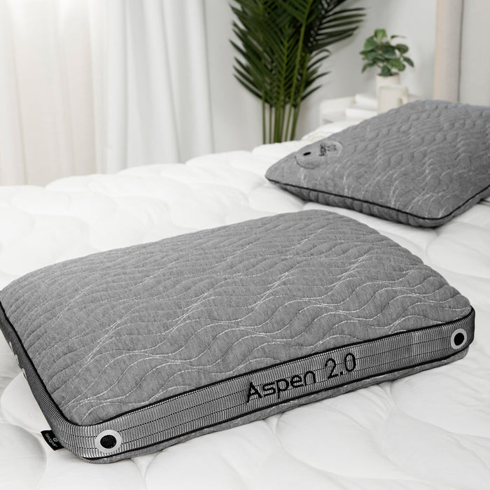 BEDGEAR Aspen 2.0 Performance King Pillow – Back Sleeper