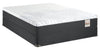 Springwall Spa 10 Firm Smooth Top Queen Mattress in a Box Set