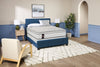 Sealy Posturepedic® Plus Alora Eurotop Plush Twin Mattress | Matelas moelleux à Euro-plateau Alora PosturepedicMD Plus de Sealy pour lit simple | ALORAPTM