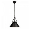 Brydon 1-Light Black Wall Sconce Pendant